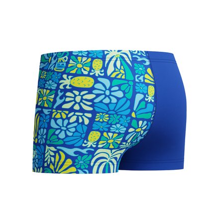 speedo  Printed Erkek Çocuk Aquashort