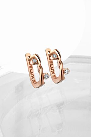 Gümüş Zirkon Taşlı Burgu Model Rose  Küpe