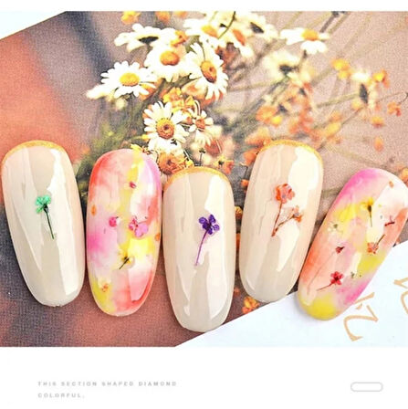 Nail Art kurutulmuş çiçek NG-155