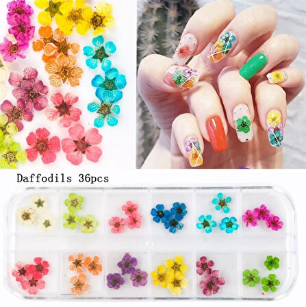 Nail Art kurutulmuş çiçek NG-145