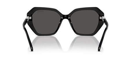 SWAROVSKI 6017 100187 56 Kadın Güneş Gözlüğü