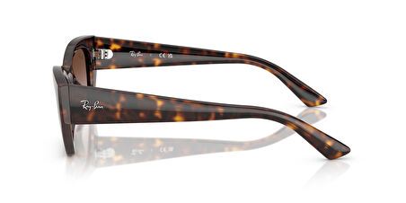 RAY-BAN 4430 135913 52 Kadın Güneş Gözlüğü