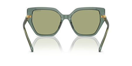 SWAROVSKI 6016 104382 56 Kadın Güneş Gözlüğü