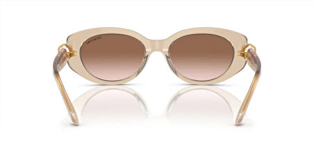 SWAROVSKI 6002 103413 53 Kadın Güneş Gözlüğü