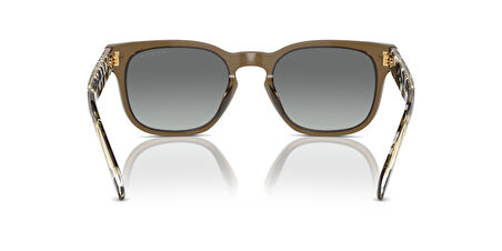 VOGUE 5571S 314411 53 Erkek Güneş Gözlüğü