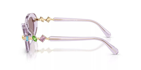 SWAROVSKI 6042 1079LA 53 Kadın Güneş Gözlüğü