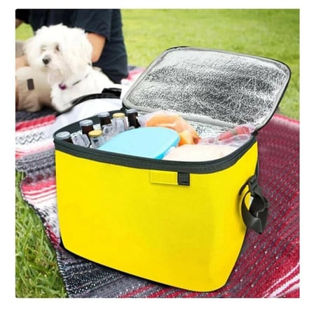 Termos Çanta - Piknik Çantası Buz Aküsü Hediyeli 40lt