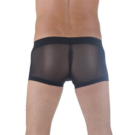 Azze  Br291137 Transparan  Erkek Boxer