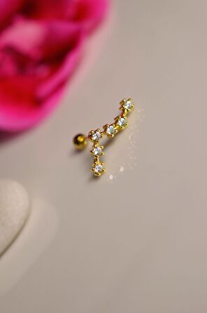 Balık Burcu Küpe Takımyıldızı Piercing Gold Pisces