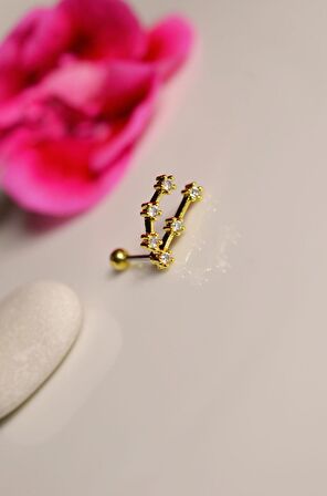 Oğlak Burcu Küpe Takımyıldızı Piercing Gold Capricorn
