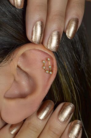 Oğlak Burcu Küpe Takımyıldızı Piercing Gold Capricorn