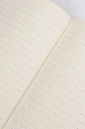 Turuncu Çizgili Defter