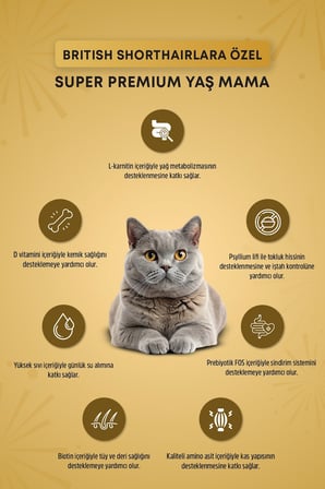 Reflex Plus Pounch  British Shorthair Sos İçinde Et Parçacıklı Yetişkin Kedi Maması 85 gr 6lı set