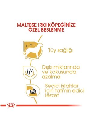 Royal Canin Maltese Terrier Yetişkin Köpek Maması 1,5kg Bichon Maltes Adult Dog Food