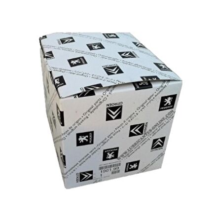 Triger Kiti + Devidaim 206 307 607 806 PARTNER M59 DW10TD