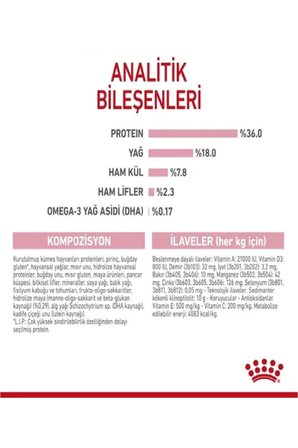 Royal Canin Kitten Yavru Kedi Maması -2 kg