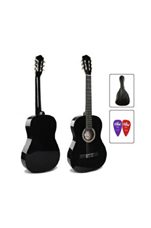 Gitar