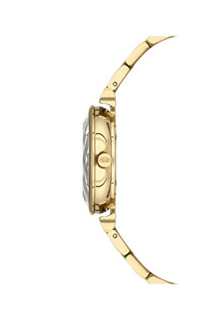 NC34-3921125-DSM KADIN KOL SAATİ