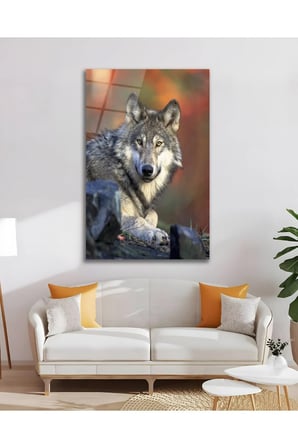 Kurt Gri Alfa Bozkurt Cam Tablo Modern Ev Ofis Salon Duvar Oda Dekoru Hediyelik