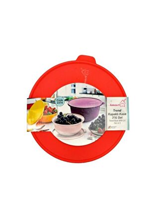 Eva Homeart Trend Kapaklı Kase 3lü Set