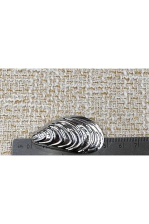 Midye kabuğu model gümüş renk extra büyük düğme seti(4.3cm)