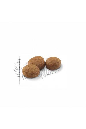 Royal Canin Sterilised 37 Kısırlaştırılmış Kediler için Yetişkin Kuru Kedi Maması 4 Kg