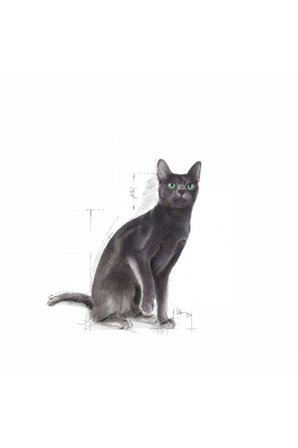 Royal Canin Sterilised 37 Kısırlaştırılmış Kediler için Yetişkin Kuru Kedi Maması 4 Kg