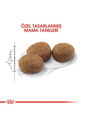 Royal Canin Sterilised 37 Kısırlaştırılmış Kediler için Yetişkin Kuru Kedi Maması 4 Kg