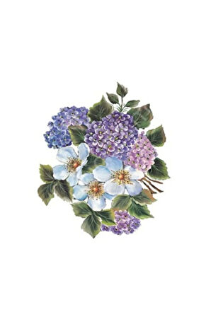 Xl06 35x50 Gülsün Ülkü