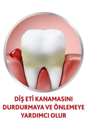 Parodontax Geliştirilmiş Tat Beyazlatıcı Diş Macunu 75 ml 6'lı
