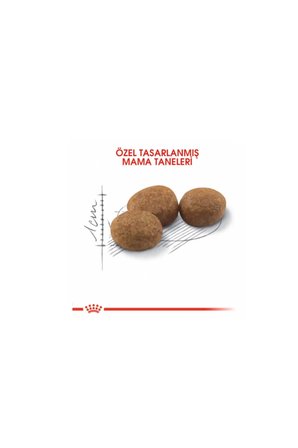 Fhn Sterilised 37 Kısırlaştırılmış Kedi Maması 4 Kg Ptanna251100066