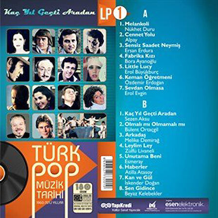 Türk Pop Müzik Tarihi 1960-70'lı Yıllar Vol:1 - Plak