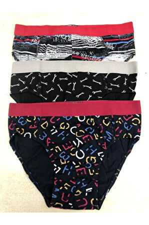 3'lü Paket Erkek Likralı Slip Külot 4418-1