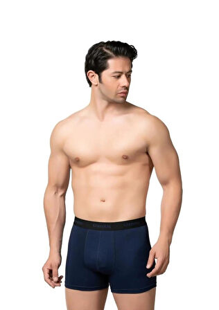 GÜMÜŞ 6 Adet (2XL) LACİVERT Erkek Renkli Likralı Spor Boxer 3074