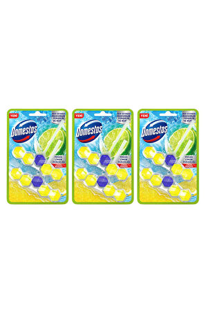 Domestos Tuvalet Bloğu Limon Bahçesi 100 G X3