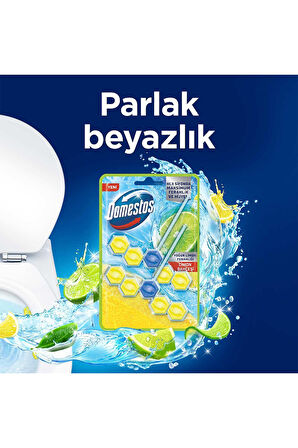 Domestos Tuvalet Bloğu Limon Bahçesi 100 G X3