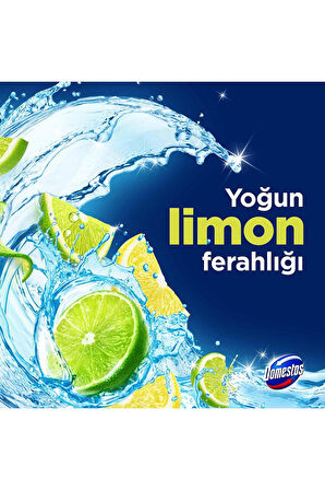 Domestos Tuvalet Bloğu Limon Bahçesi 100 G X3