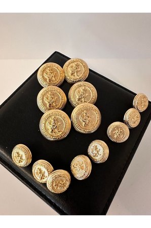 Blazer ceket gold düğme seti
