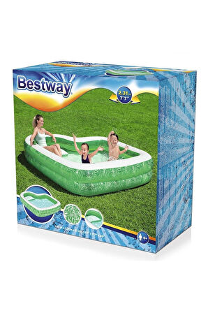 Bestway Şekilli Şişme Aile Havuzu 54336