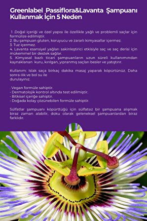 Passiflora Ve Lavanta Özlü Parabensiz Tuzsuz Kepek Karşıtı Bakım Ve Onarım Şampuanı 400ml