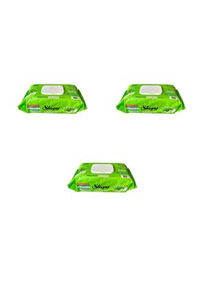 Aloe Vera Özlü Yüzey Temizlik Islak Havlusu - 100'lü 3 Paket
