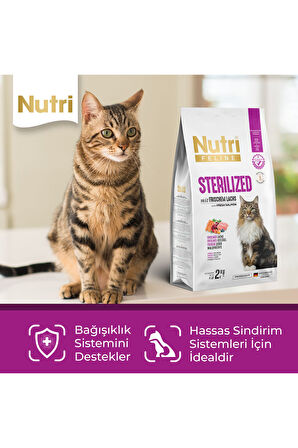 Adult Sterilised Kısırlaştırılmış Somonlu Yetişkin Kedi Maması 2 kg