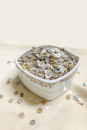 12 Boy 8 mm Çift Delikli Düğme (20 Adet)