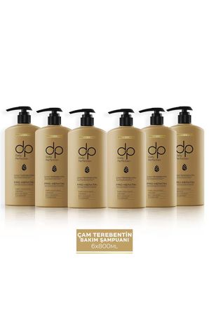 Daily Perfection Şampuan Çam Terebentin 800 ml X 6 Adet