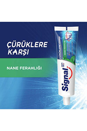  Signal Diş Macunu Çürüklere Karşı Nane Ferahlığı 100 Ml/6