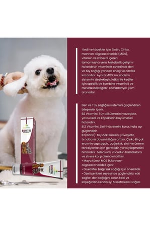 Biovital Paste 100gr Kedi Köpek Deri Ve Tüy Sağlığı 3 Ad (3x100 Gr)