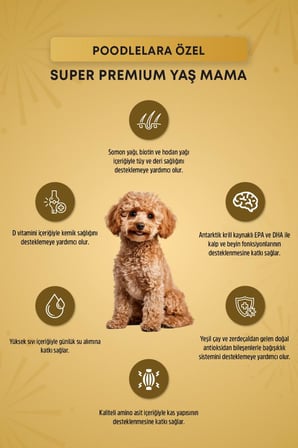 Reflex Plus Poodle Yetişkin Köpek Pouch Mama 85gr x 6 Adet