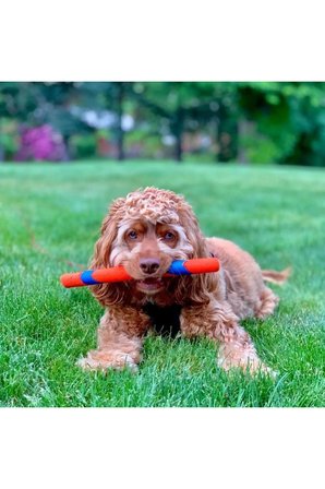 KaraWorkSell Chuckit! Ultra Fetch Stick Köpek Oyuncağı 1196440