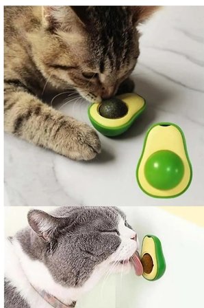 Catnipli Yenilebilir Kedi Nanesi Otu Oyun Topu Oyuncağı Top Oyuncak Kedi Yalama Topu Avokado