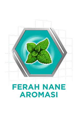 Naneli Yapıştırıcı 40 gr